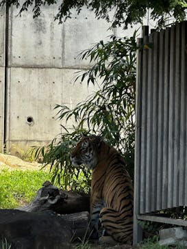 天王寺動物園に投稿された画像（2025/9/7）