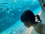 葛西臨海水族園に投稿された画像（2025/9/7）