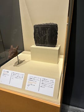 ブルックリン博物館所蔵　特別展　古代エジプト（豊田会場）に投稿された画像（2025/9/7）