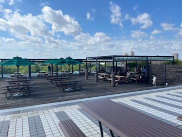 国立科学博物館に投稿された画像（2025/9/7）