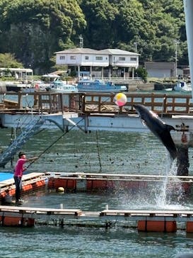 あわしまマリンパークに投稿された画像（2025/9/7）