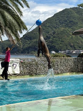 あわしまマリンパークに投稿された画像（2025/9/7）