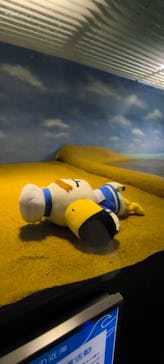 マリンワールド海の中道に投稿された画像（2025/9/7）