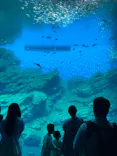 仙台うみの杜水族館に投稿された画像（2025/9/7）