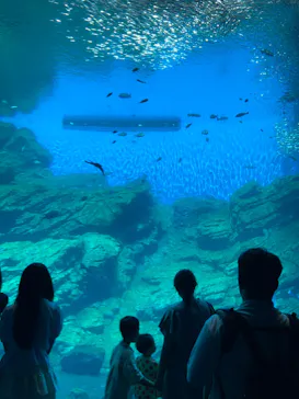 仙台うみの杜水族館に投稿された画像（2025/9/7）