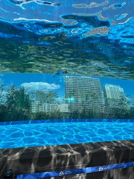 サンシャイン水族館に投稿された画像（2025/9/7）