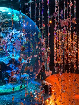 神戸みなと温泉 蓮×AQUARIUM × ART　atoaに投稿された画像（2025/9/7）