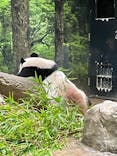 恩賜上野動物園に投稿された画像（2025/9/7）
