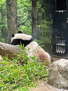 恩賜上野動物園に投稿された画像（2025/9/7）