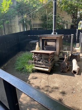 恩賜上野動物園に投稿された画像（2025/9/7）