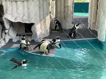 恩賜上野動物園に投稿された画像（2025/9/7）
