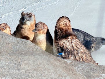 葛西臨海水族園に投稿された画像（2025/9/7）