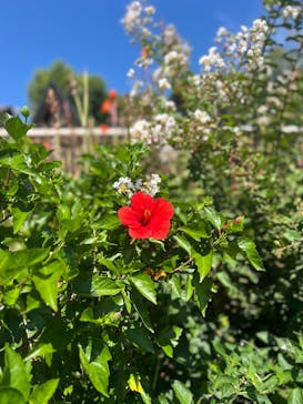 鈴鹿サーキットに投稿された画像（2025/9/7）