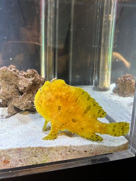 環境水族館アクアマリンふくしまに投稿された画像（2025/9/7）