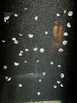 環境水族館アクアマリンふくしまに投稿された画像（2025/9/7）