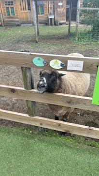 まかいの牧場に投稿された画像（2025/9/7）