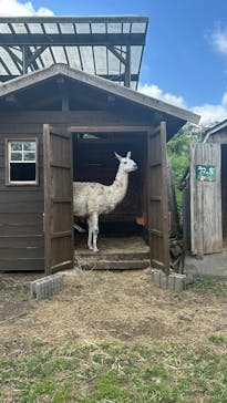 まかいの牧場に投稿された画像（2025/9/7）