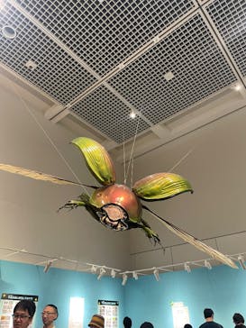 特別展 『昆虫 MANIAC』に投稿された画像（2025/9/7）