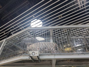 NIFREL（ニフレル）に投稿された画像（2025/9/7）