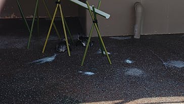 アクアワールド茨城県大洗水族館に投稿された画像（2025/9/7）