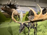 特別展「氷河期展 〜人類が見た4万年前の世界〜」（国立科学博物館）に投稿された画像（2025/9/7）
