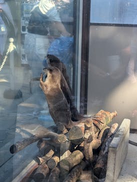 横浜・八景島シーパラダイスに投稿された画像（2025/9/7）