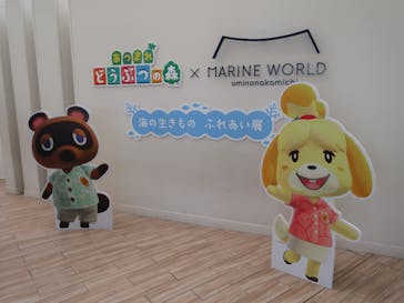 マリンワールド海の中道に投稿された画像（2025/9/6）