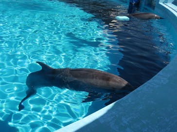 マリンワールド海の中道に投稿された画像（2025/9/6）