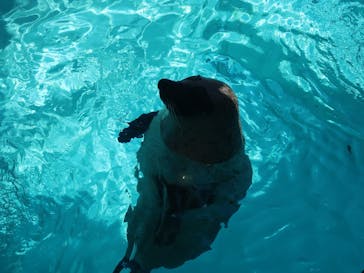 マリンワールド海の中道に投稿された画像（2025/9/6）