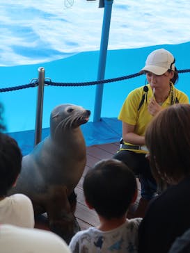 マリンワールド海の中道に投稿された画像（2025/9/6）