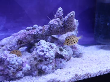 遊べる水族園に投稿された画像（2025/9/7）