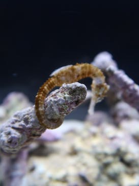 遊べる水族園に投稿された画像（2025/9/7）