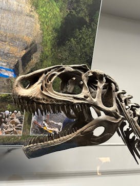 福井県立恐竜博物館に投稿された画像（2025/9/7）