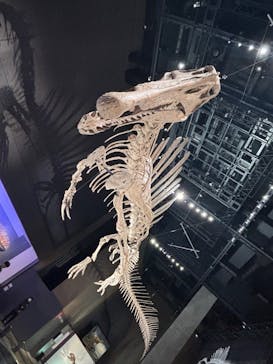 福井県立恐竜博物館に投稿された画像（2025/9/7）