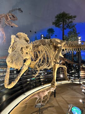 福井県立恐竜博物館に投稿された画像（2025/9/7）