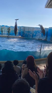 新江ノ島水族館に投稿された画像（2025/9/7）