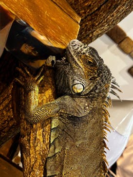 アニタッチみなとみらいに投稿された画像（2025/9/7）