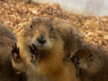 アニタッチみなとみらいに投稿された画像（2025/9/7）