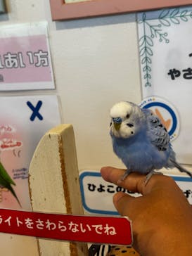 アニタッチみなとみらいに投稿された画像（2025/9/7）