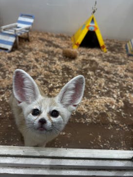 アニタッチみなとみらいに投稿された画像（2025/9/7）