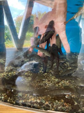 栃木県なかがわ水遊園に投稿された画像（2025/9/7）