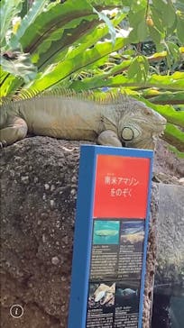 栃木県なかがわ水遊園に投稿された画像（2025/9/7）