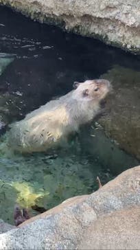 栃木県なかがわ水遊園に投稿された画像（2025/9/7）