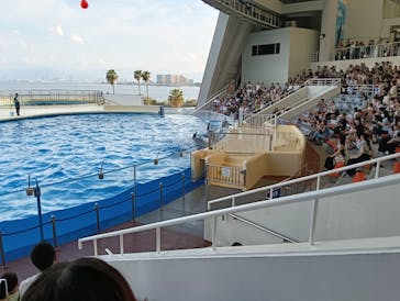 マリンワールド海の中道に投稿された画像（2025/9/7）