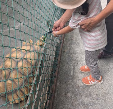 岩手サファリパークに投稿された画像（2025/9/7）