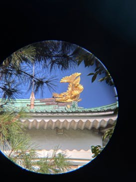 名古屋城に投稿された画像（2025/9/7）