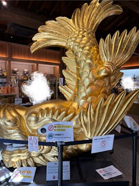 名古屋城に投稿された画像（2025/9/7）