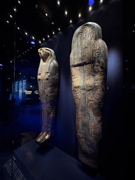 ACN ラムセス大王展 ファラオたちの黄金に投稿された画像（2025/9/7）