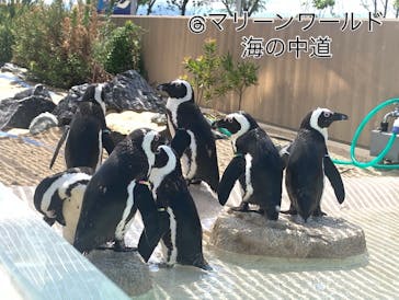 マリンワールド海の中道に投稿された画像（2025/9/7）