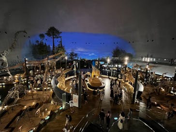 福井県立恐竜博物館に投稿された画像（2025/9/7）